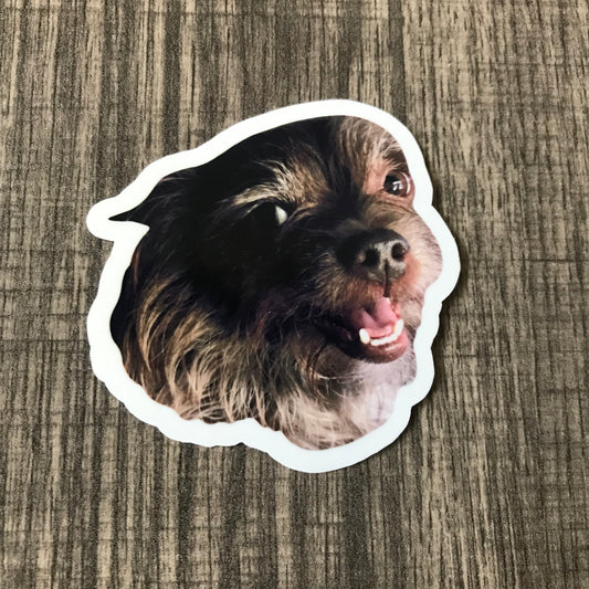 “Brownie” sticker